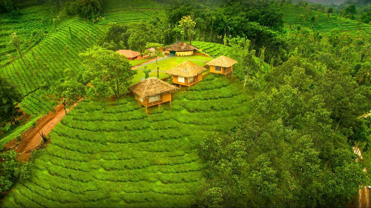 Oxyfarm Resorts Ваянад Экстерьер фото