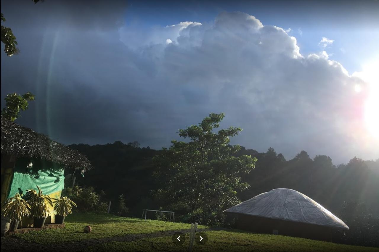 Oxyfarm Resorts Ваянад Экстерьер фото